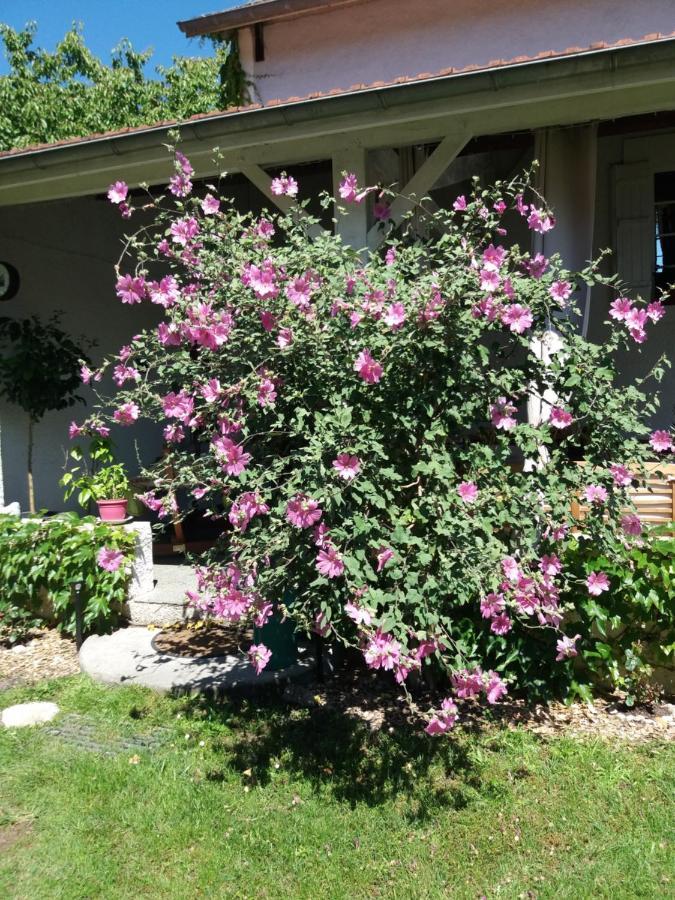 Les Eygletieres Bed & Breakfast Bourriot-Bergonce Exterior photo
