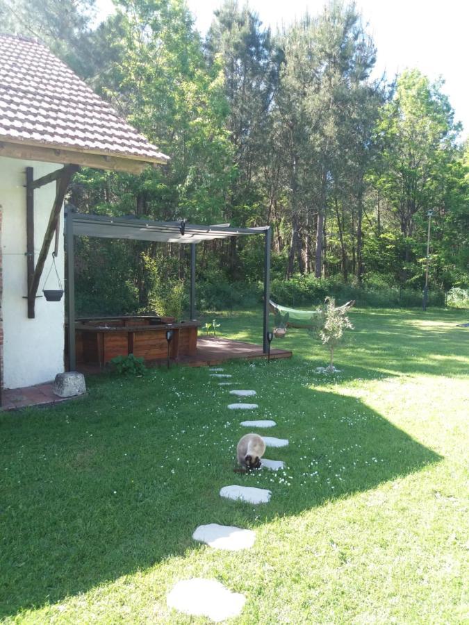 Les Eygletieres Bed & Breakfast Bourriot-Bergonce Exterior photo